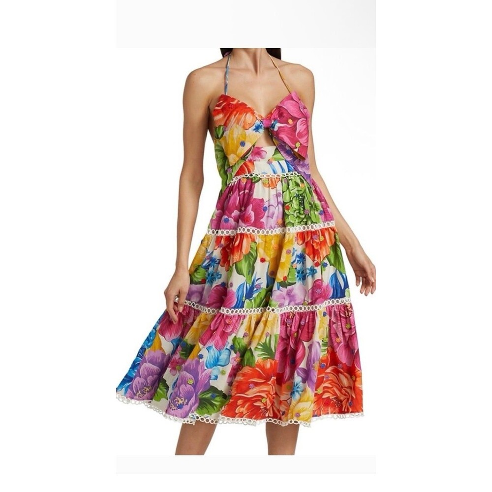NWT Farm Rio Floral Rainbow Chita Midi Dress Small